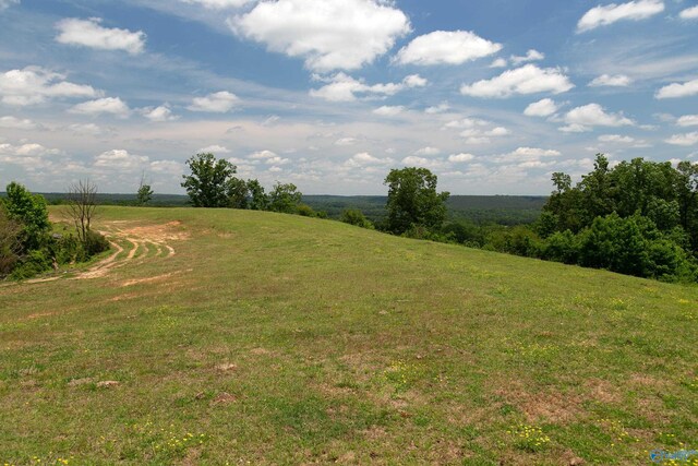 120.5ACRES County Road 974, Logan, AL 35098