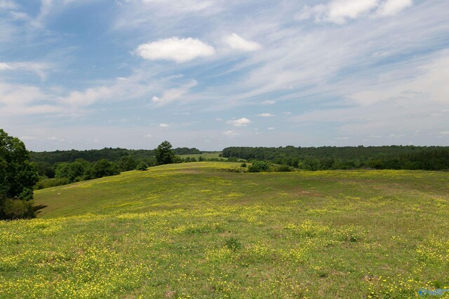 120.5ACRES County Road 974, Logan, AL 35098