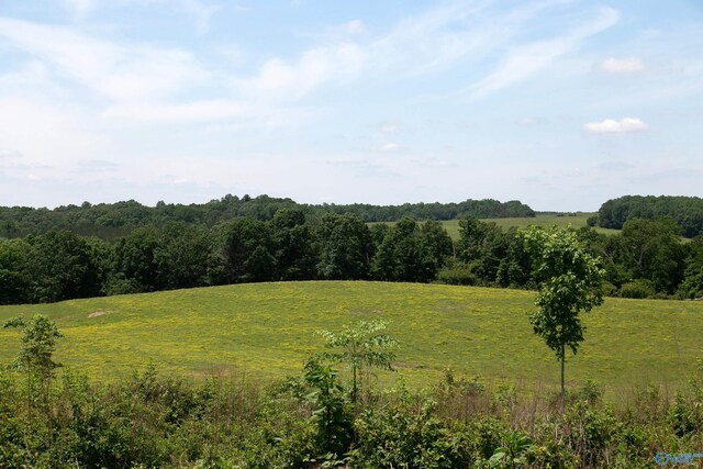 120.5ACRES County Road 974, Logan, AL 35098