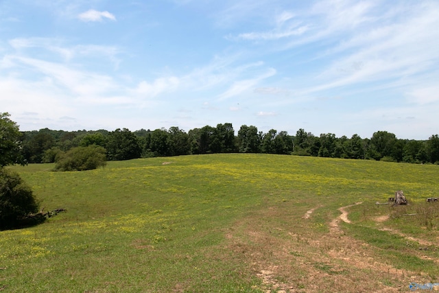 120.5ACRES County Road 974, Logan, AL 35098