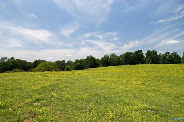 120.5ACRES County Road 974, Logan, AL 35098