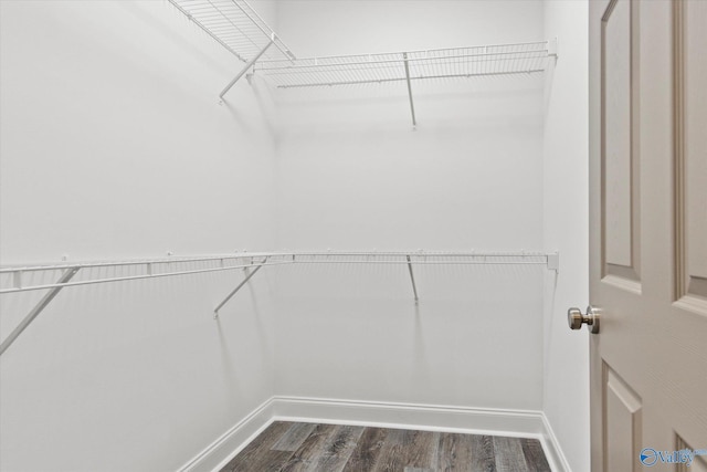 walk in closet featuring dark hardwood / wood-style flooring