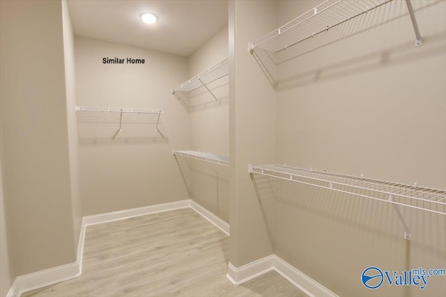 BELLEWOOD-B Mallard Dr, Madison, AL 35756 - spacious closet featuring wood finished floors