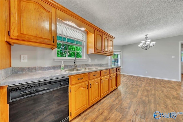 kitchen featuring black dishwasher, a sink, a chandelier, brown cabinets, and wood finished floors
