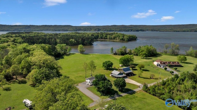 bird's eye view with a water view and a view of trees