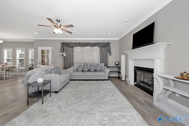 living room featuring a tile fireplace, light hardwood / wood-style flooring, ceiling fan, and ornamental molding