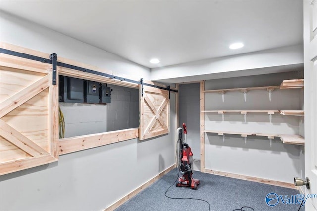 basement featuring a barn door