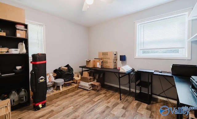 office area featuring a ceiling fan, baseboards, and wood finished floors