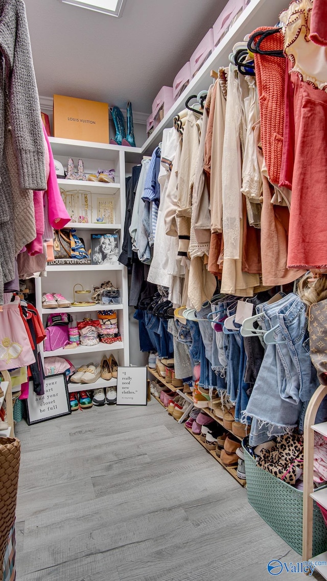 view of walk in closet