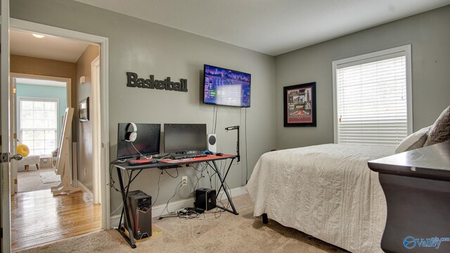 bedroom featuring carpet flooring