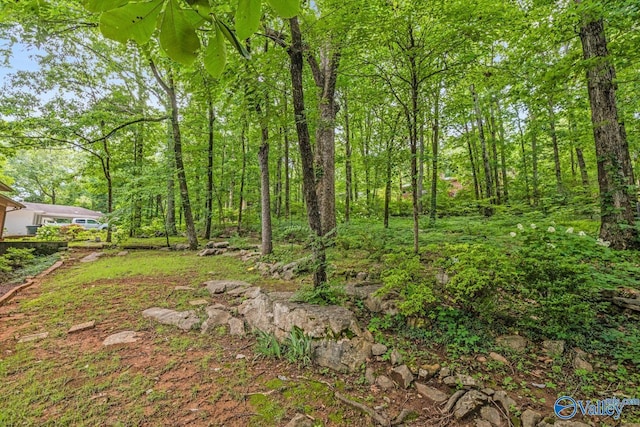 6818 Criner Rd SE, Huntsville, AL 35802 - view of yard featuring a wooded view