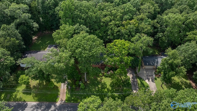 6818 Criner Rd SE, Huntsville, AL 35802 - view of property location with a forest