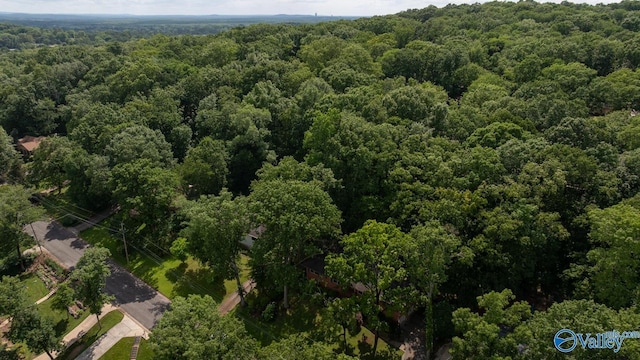 6818 Criner Rd SE, Huntsville, AL 35802 - bird's eye view of a forest