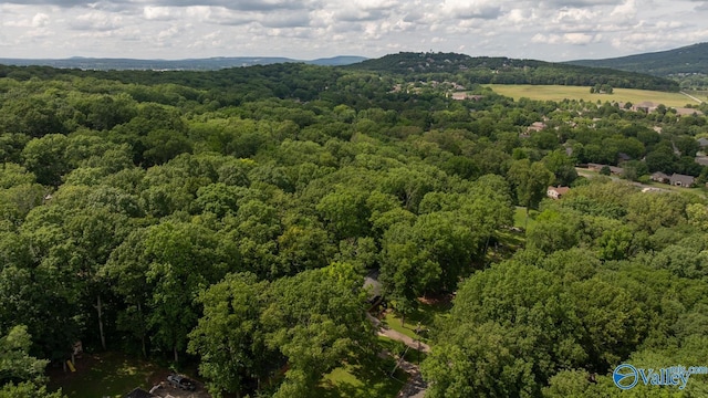 6818 Criner Rd SE, Huntsville, AL 35802 - bird's eye view of a heavily wooded area and a mountain backdrop
