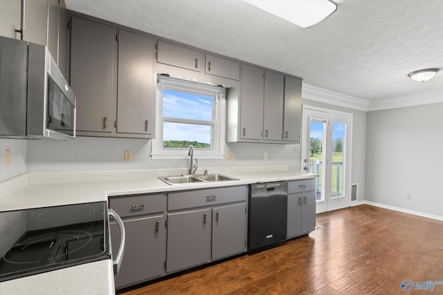 kitchen with gray cabinetry, black dishwasher, sink, and a wealth of natural light