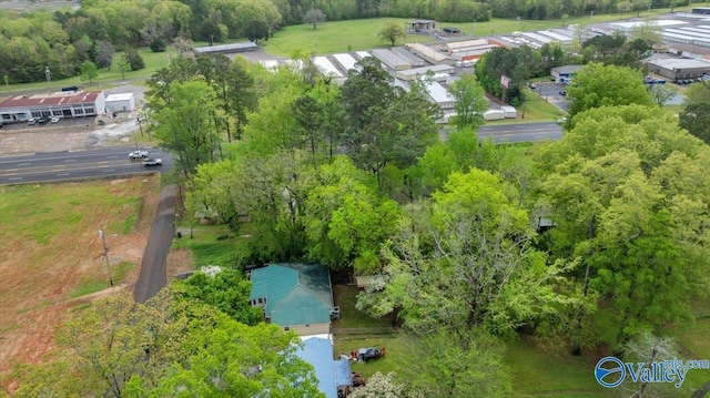 aerial view