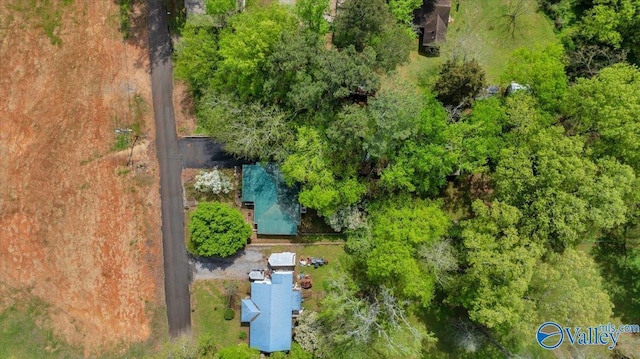 bird's eye view