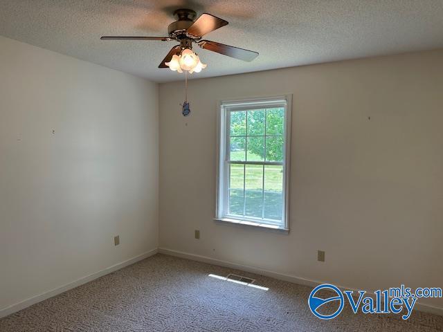 carpeted empty room featuring a ceiling fan, baseboards, a wealth of natural light, and a textured ceiling