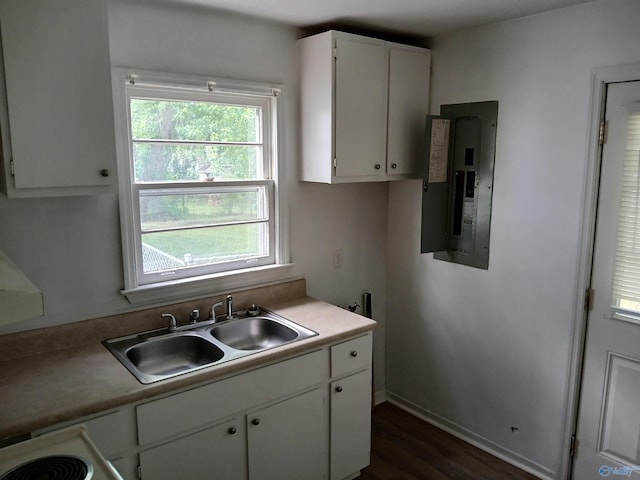 kitchen with white cabinetry, electric panel, dark hardwood / wood-style flooring, and sink