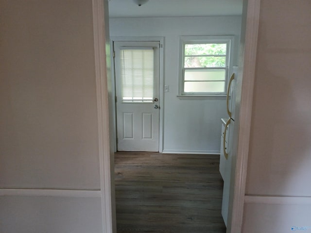 doorway to outside with wood-type flooring