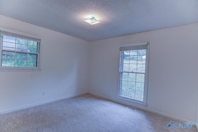 carpeted spare room with a textured ceiling