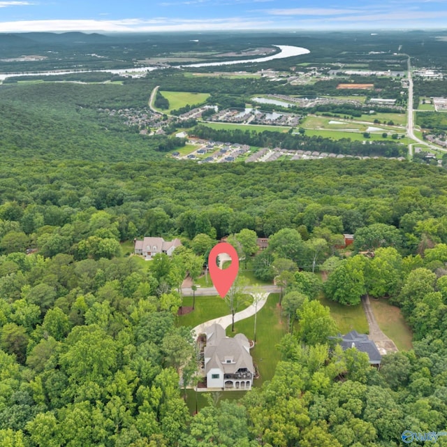 13559 Monte Vedra Rd SE, Huntsville, AL 35803 - view of property location featuring a forest