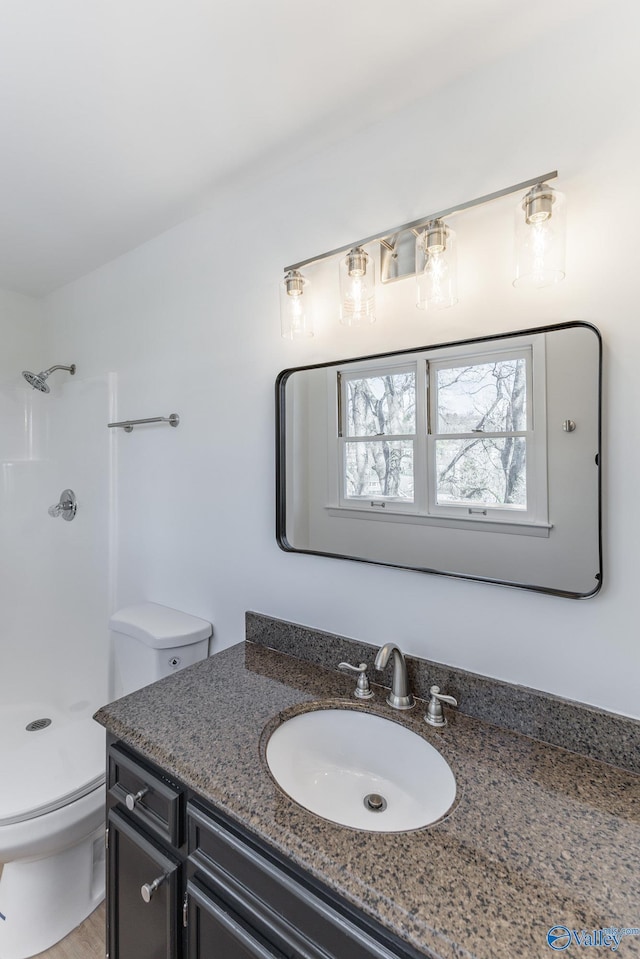 full bathroom featuring vanity, toilet, and walk in shower