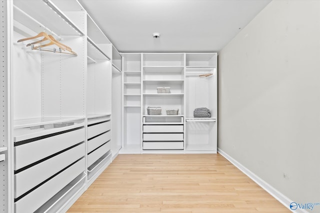 walk in closet featuring light wood-type flooring