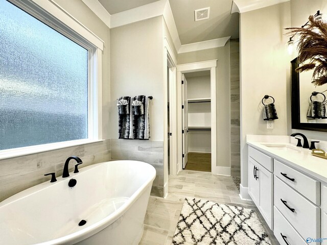 bathroom featuring vanity, a washtub, and plenty of natural light