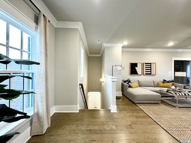 interior space with radiator, crown molding, and hardwood / wood-style floors