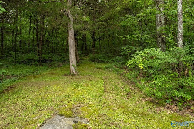53 Price Mountain Dr, Decatur, AL 35603 - view of yard featuring a wooded view
