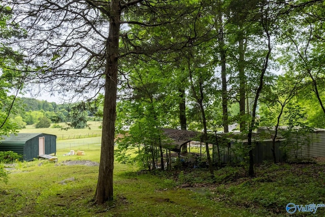 53 Price Mountain Dr, Decatur, AL 35603 - view of yard