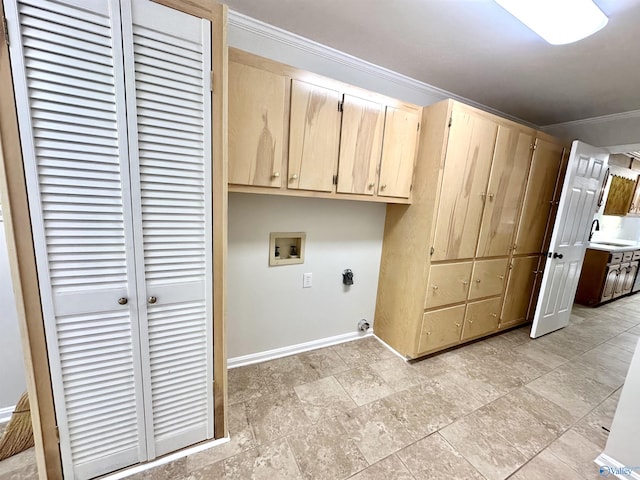 clothes washing area with hookup for a washing machine, ornamental molding, hookup for an electric dryer, and cabinets