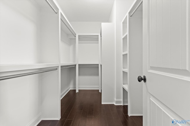 walk in closet with dark hardwood / wood-style flooring