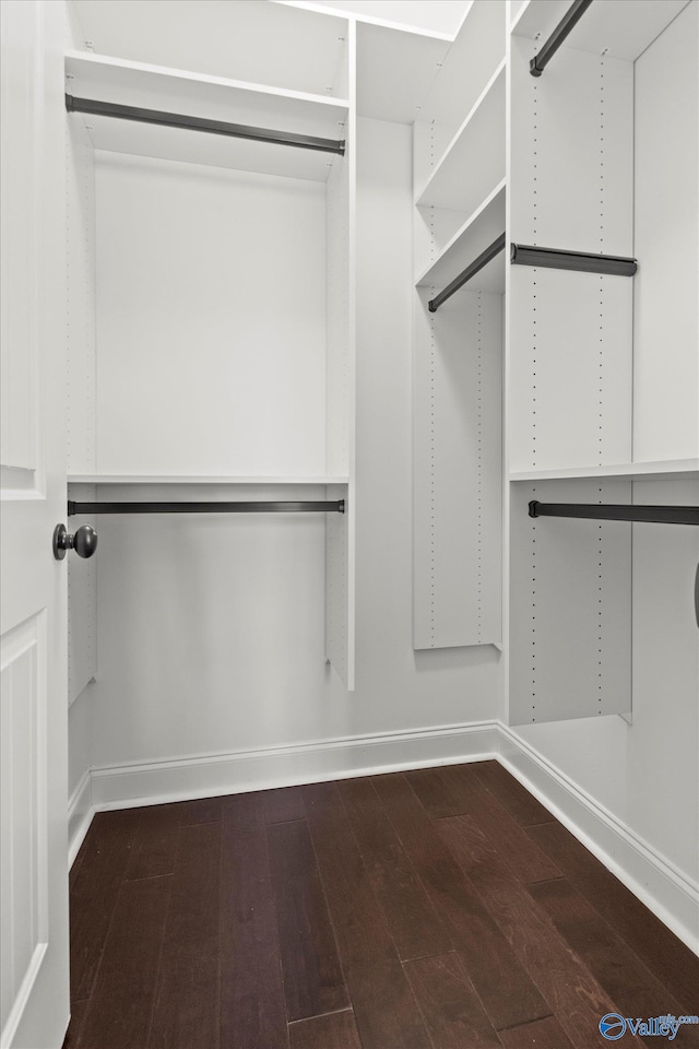 walk in closet with hardwood / wood-style flooring