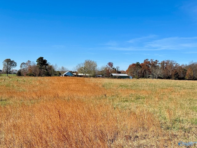 view of yard featuring a rural view