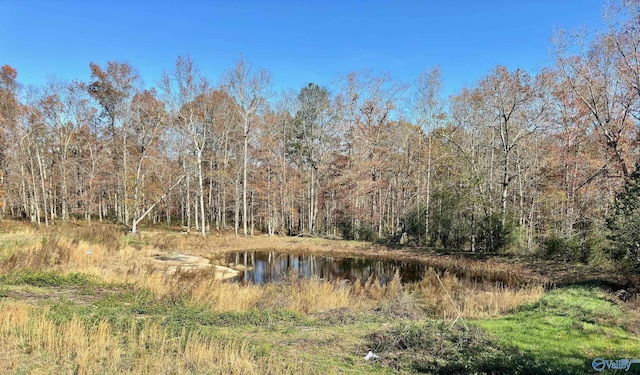 view of nature featuring a water view