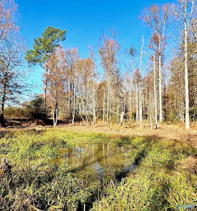 view of nature featuring a water view