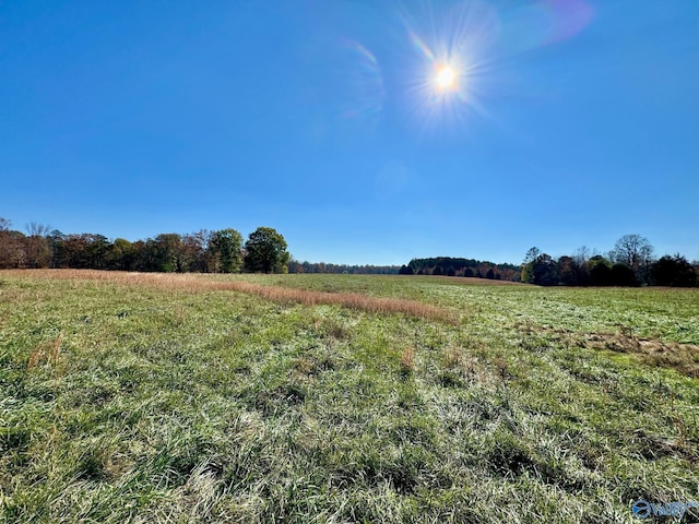 view of local wilderness with a rural view