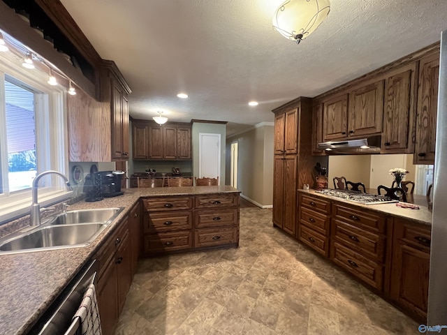 kitchen featuring a sink, under cabinet range hood, a textured ceiling, a peninsula, and appliances with stainless steel finishes