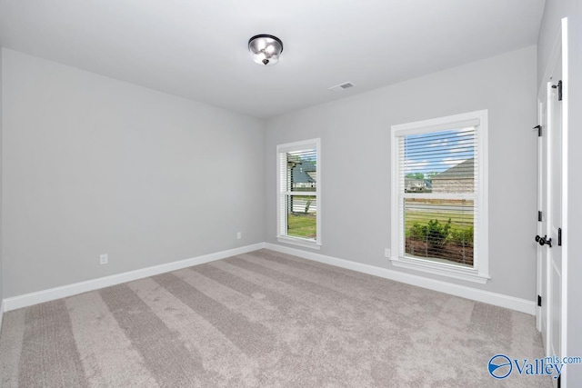 carpeted spare room featuring a wealth of natural light