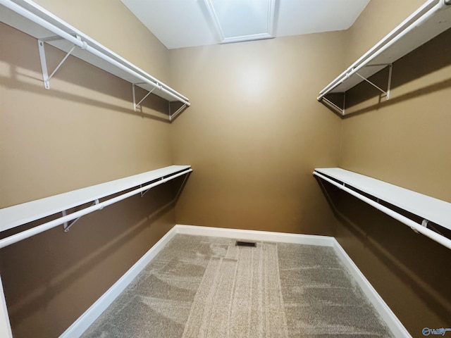 spacious closet with carpet flooring