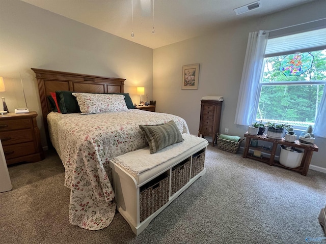 1006 SW 6th St, Attalla, AL 35954 - view of carpeted bedroom