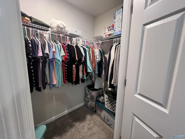 1006 SW 6th St, Attalla, AL 35954 - walk in closet with carpet flooring