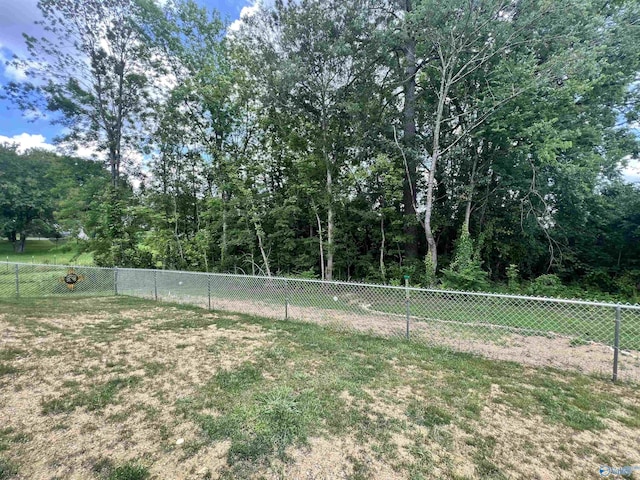 1006 SW 6th St, Attalla, AL 35954 - view of yard
