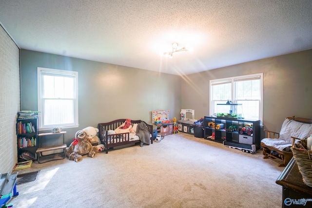 recreation room with carpet floors and a textured ceiling