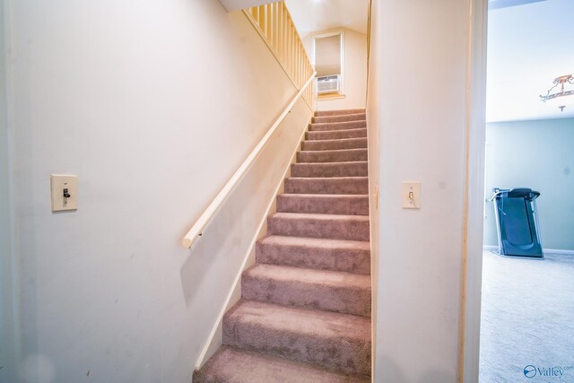 stairway featuring carpet floors