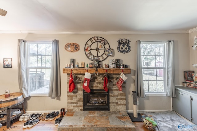 living room featuring crown molding