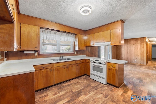 kitchen featuring white electric stove, light wood-style flooring, a peninsula, light countertops, and a sink