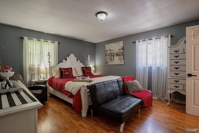 208 Burgess Ave, Rainsville, AL 35986 - bedroom with multiple windows, light wood-style floors, and a textured ceiling